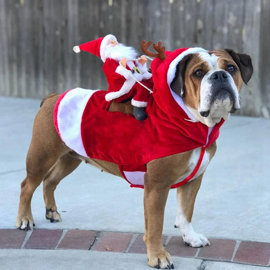 Déguisement Pour Chien Noël