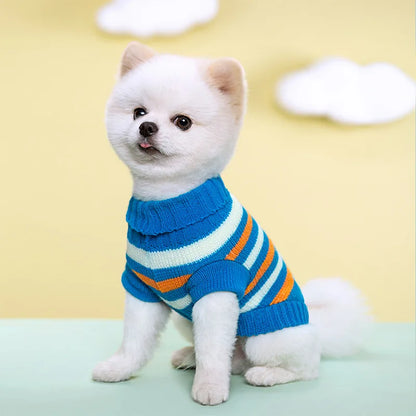 Pull Pour Chien en Maille Tricotée