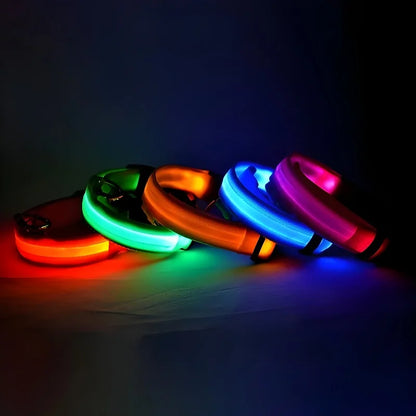 Collier lumineux pour chien
