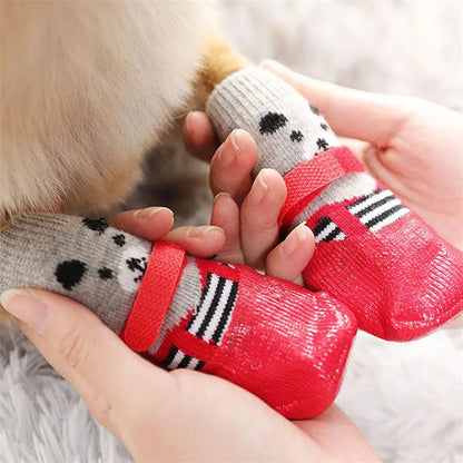 Chaussettes réglables colorées pour chien