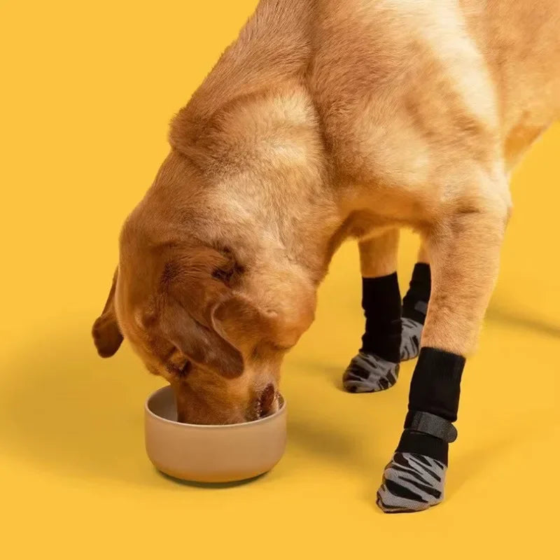 Chaussettes avec sangles réglables pour chien