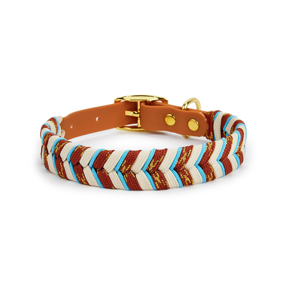 Collier Pour Chien en Cuir