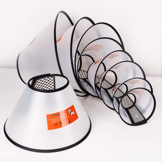 Collerette Pour Chien Transparente