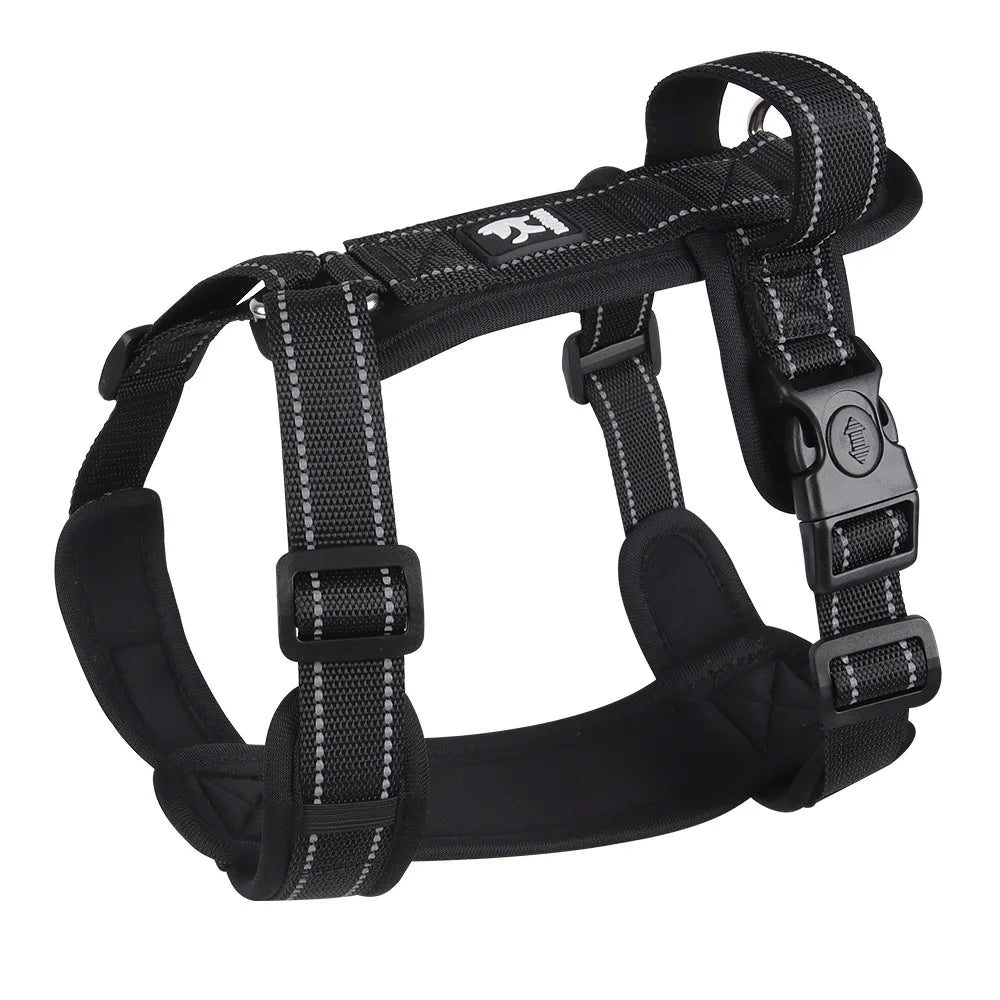 Harnais anti-traction coloré pour chien