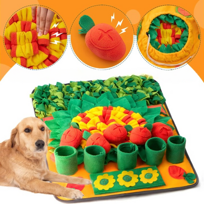 Tapis coloré de fouille pour chien