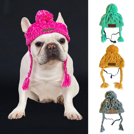 Bonnet Pour Chien Tricoté