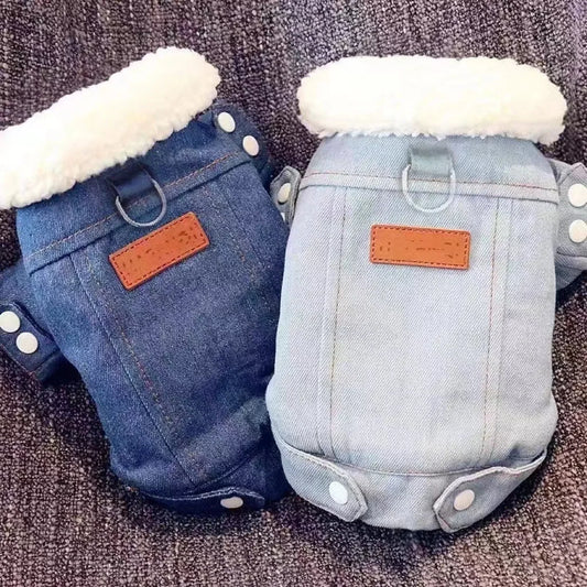 Manteau en jean pour chien