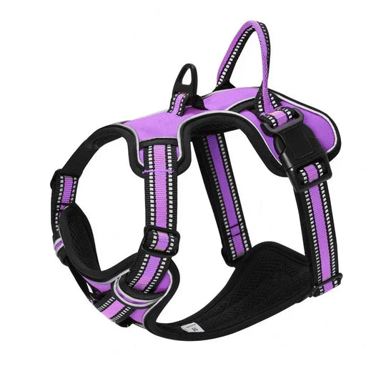 Harnais anti-traction en nylon pour chien