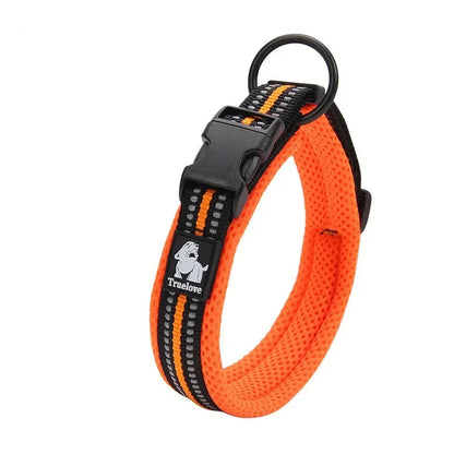 Collier réfléchissant pour chien