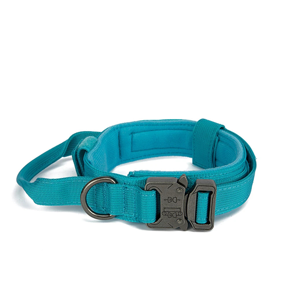Collier en nylon pour chien