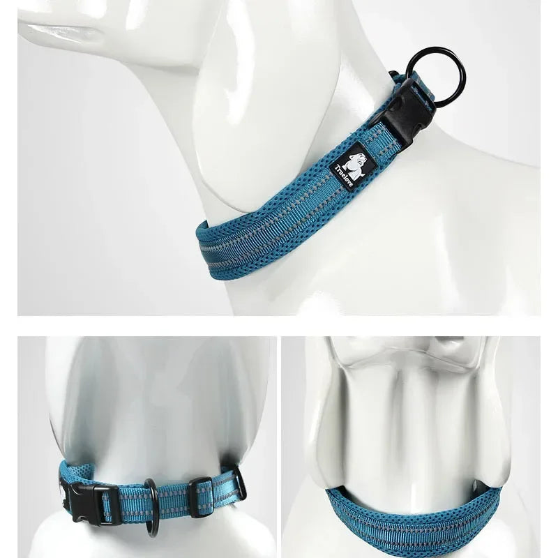 Collier réfléchissant pour chien