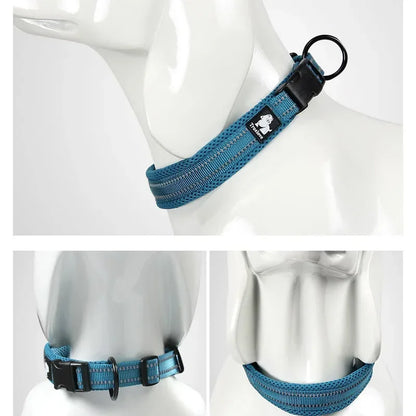 Collier réfléchissant pour chien