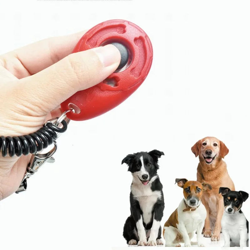 Répulsif à un cliquet pour chien
