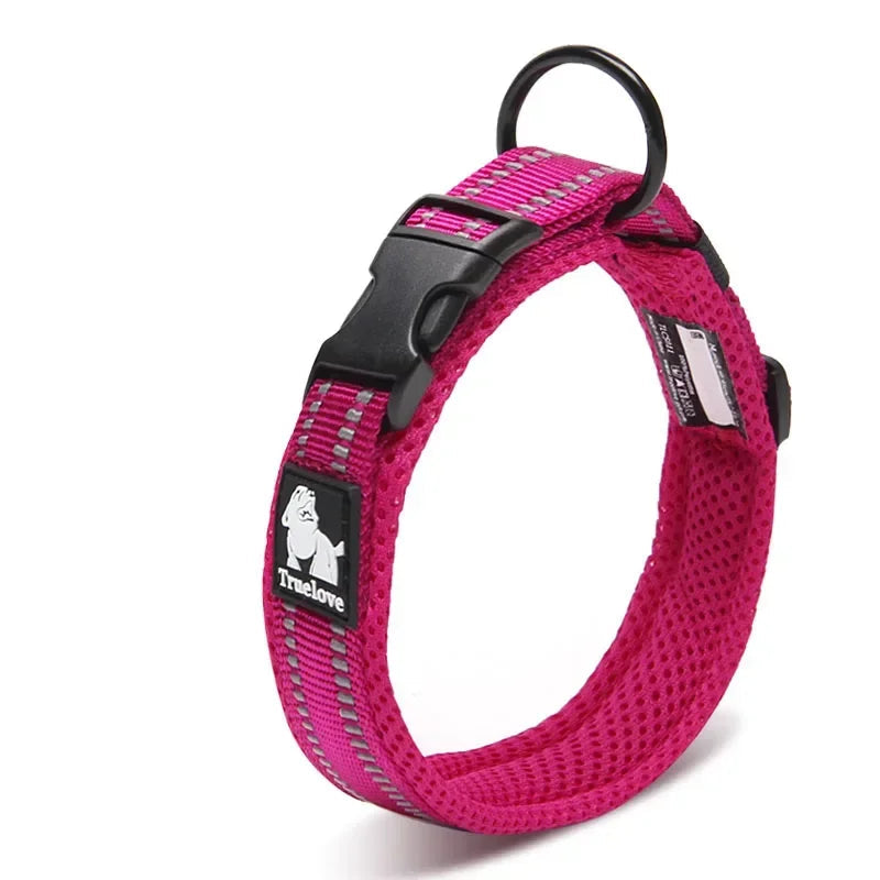 Collier réfléchissant pour chien