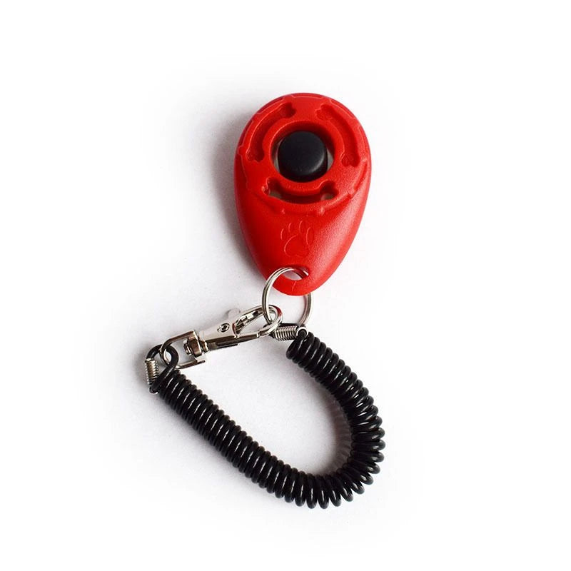 Répulsif à un cliquet pour chien