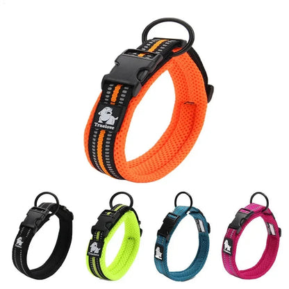 Collier réfléchissant pour chien