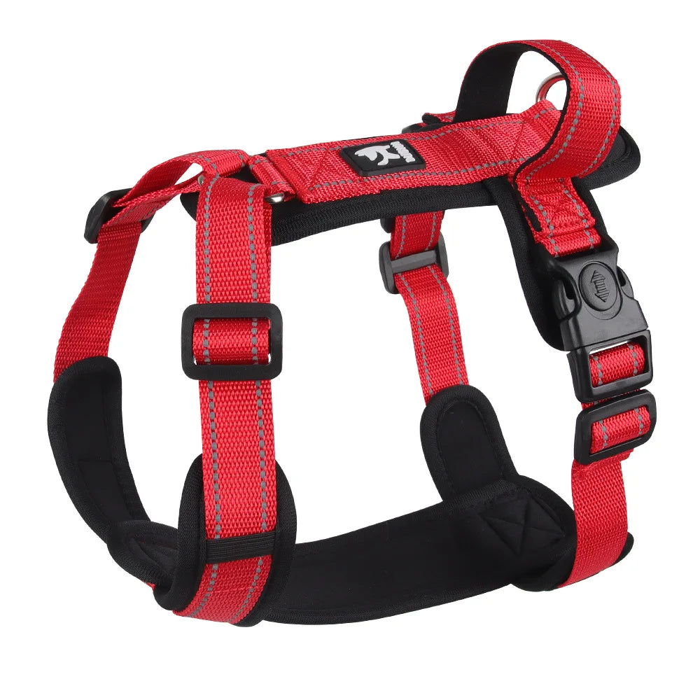 Harnais anti-traction coloré pour chien