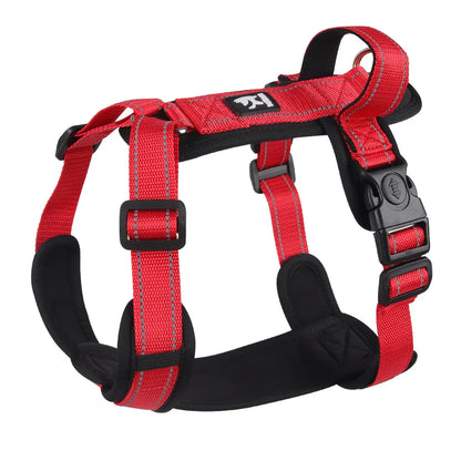 Harnais anti-traction coloré pour chien