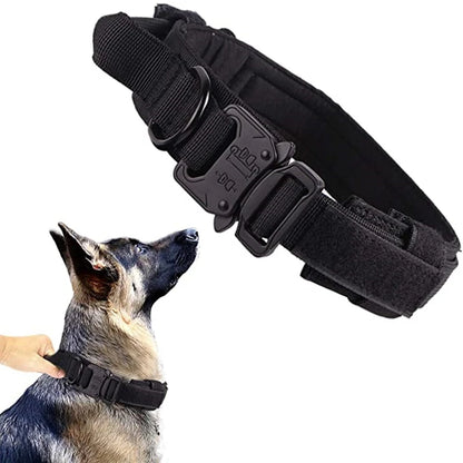 Collier militaire pour chien