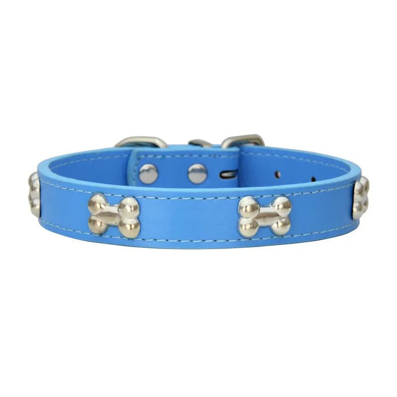 Collier en cuir coloré pour chien