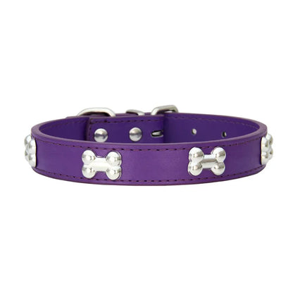 Collier en cuir coloré pour chien
