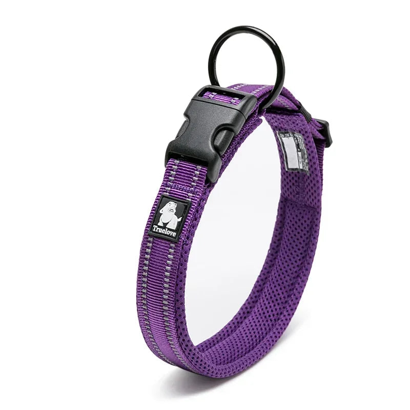 Collier réfléchissant pour chien