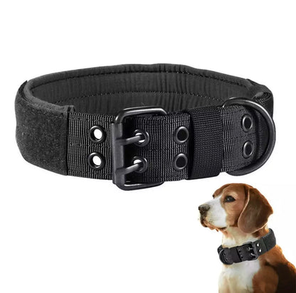 Collier pour chien réglable