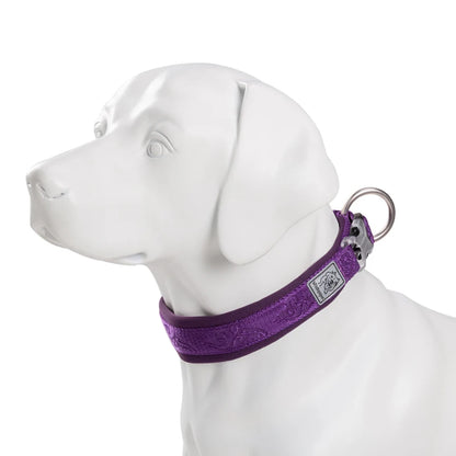 Collier rembourré réglable pour chien