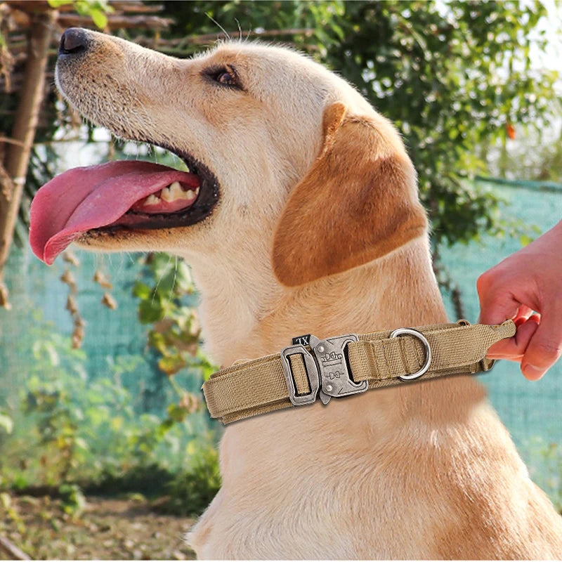 Collier en nylon pour chien