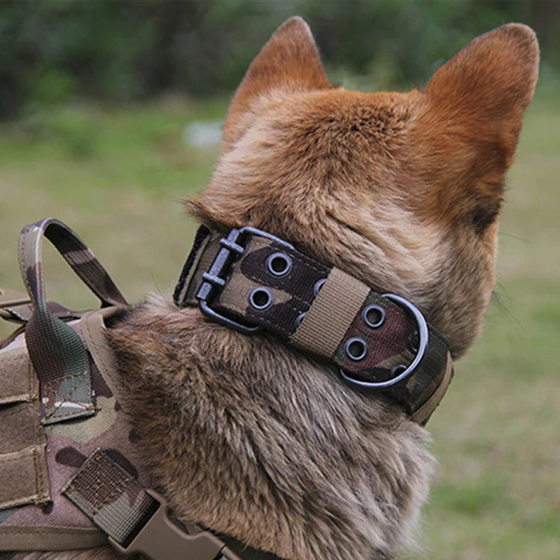 Collier pour chien réglable