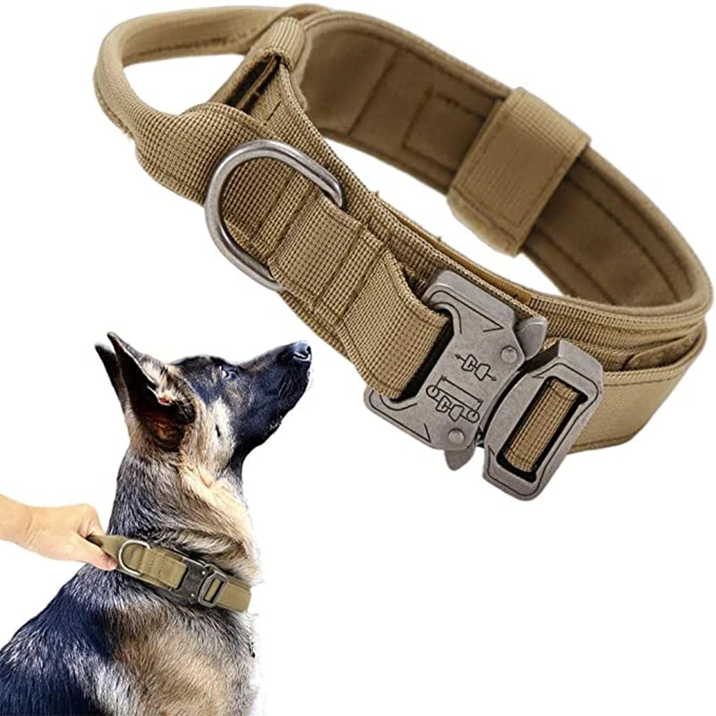 Collier militaire pour chien