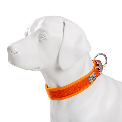Collier rembourré réglable pour chien