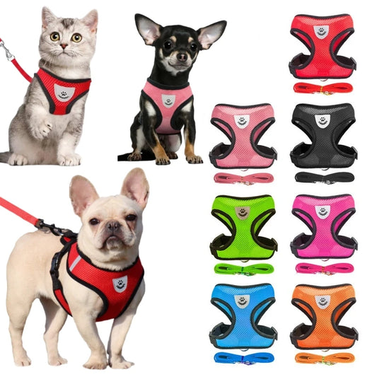 Harnais en maille pour chien