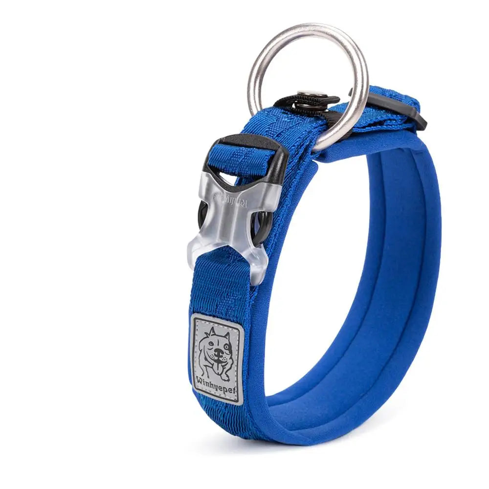 Collier rembourré réglable pour chien