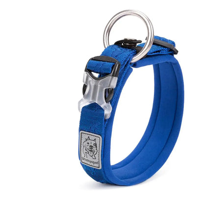 Collier rembourré réglable pour chien