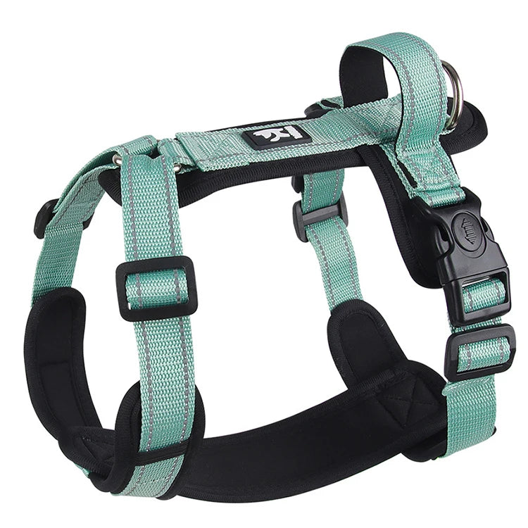 Harnais anti-traction coloré pour chien
