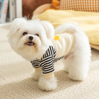 Pull à motif canard doux pour chien