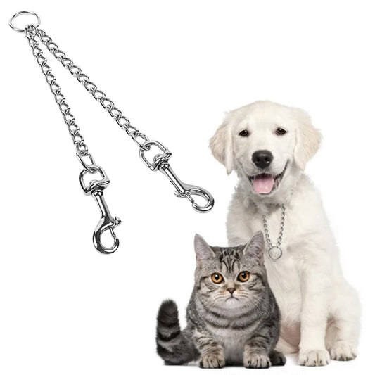 Laisse en acier inoxydable pour chien