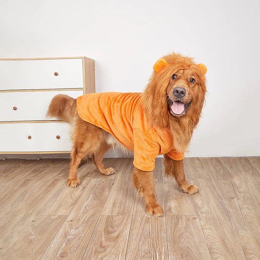 Déguisement lion pour chien