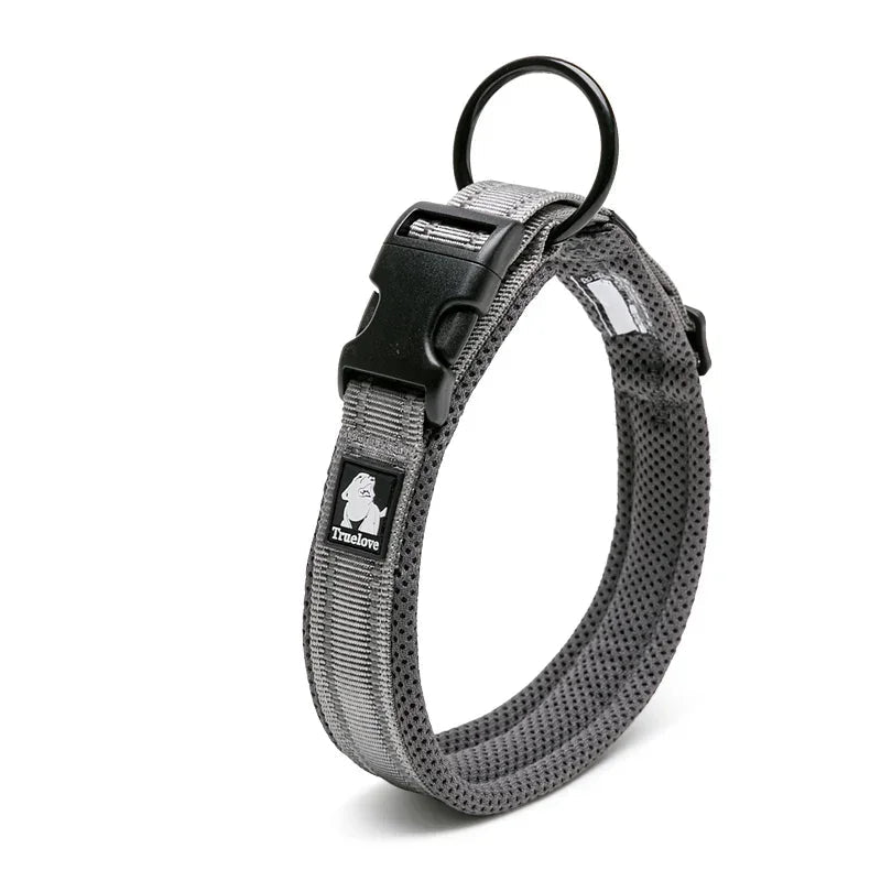 Collier réfléchissant pour chien