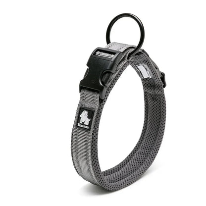 Collier réfléchissant pour chien