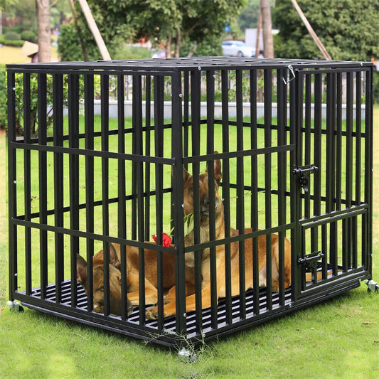 Cage Pour Chien Robuste
