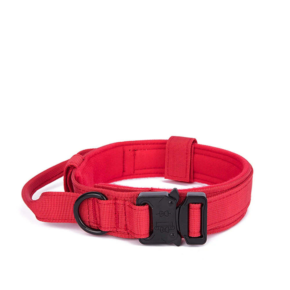 Collier en nylon pour chien