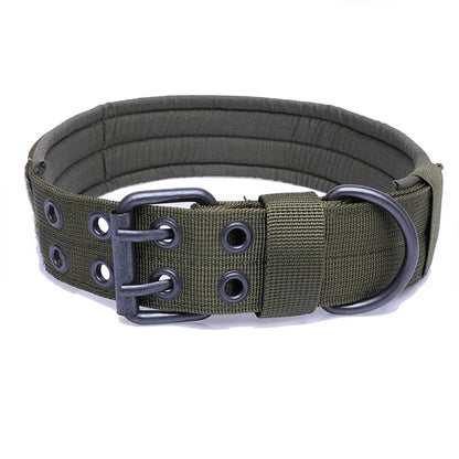Collier pour chien réglable