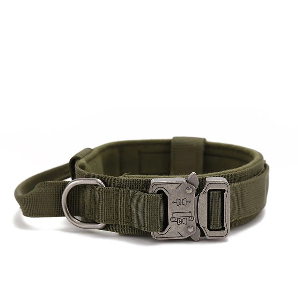 Collier en nylon pour chien
