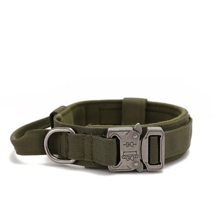 Collier en nylon pour chien