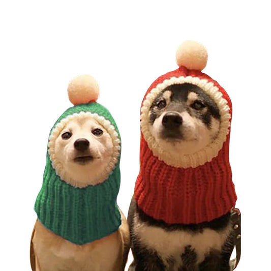 Bonnet Pour Chien avec Pompon