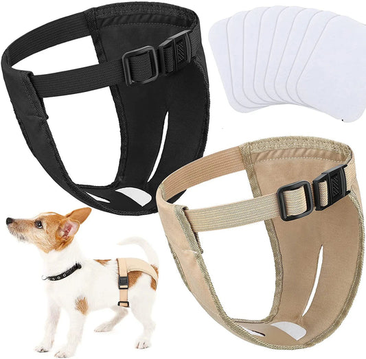Culotte Pour Chien avec Serviettes Hygiéniques