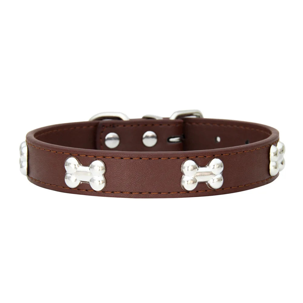 Collier en cuir coloré pour chien