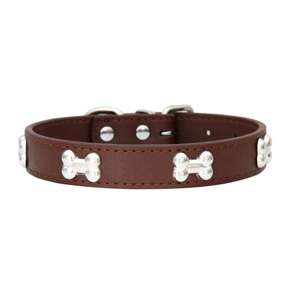 Collier en cuir coloré pour chien